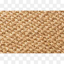 �鲼��֯��������-������