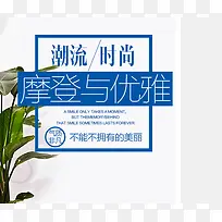 ��ǩ -������