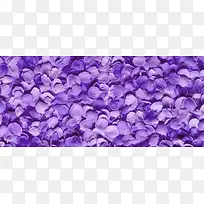 薰衣草背景-空若网 薰衣草背景-空若网