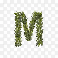 绿叶字母m-空若网 绿叶字母m-空若网