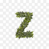 绿叶字母z-空若网 绿叶字母z-空若网