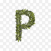 ��Ҷ��ĸp-������