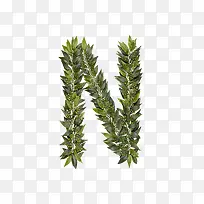 绿叶字母n-空若网 绿叶字母n-空若网