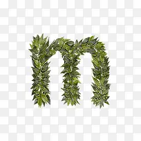 绿叶字母m-空若网 绿叶字母m-空若网