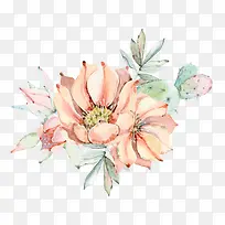 水彩花卉植物-空若网 水彩花卉植物-空若网