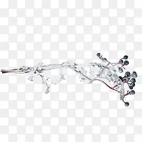 带雪小蓝花树枝-空若网 带雪小蓝花树枝-空若网