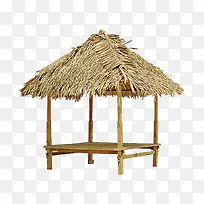 ��ͤ���-������