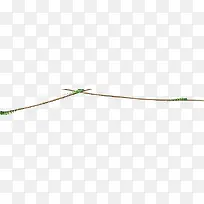 ��֦��԰����������-������