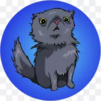 猫须,鼻子-凯特玛拉-空若网 猫须,鼻子-凯特玛拉-空若网