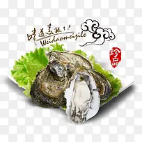 珍品生蚝-空若网 珍品生蚝-空若网