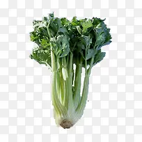 ���ʵ��۲�-������