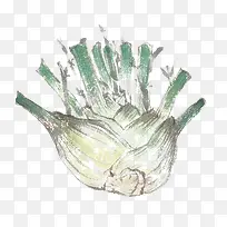 芹菜头-空若网 芹菜头-空若网