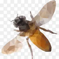 ¼¸ºÎ×°ÊÎÀ¥³æ-¿ÕÈôÍø ¼¸ºÎ×°ÊÎÀ¥³æ-¿ÕÈôÍø