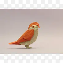 ��ֽС���ɫ����-������