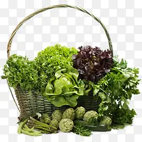 蔬菜篮子-空若网 蔬菜篮子-空若网