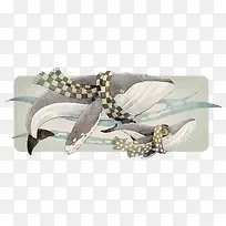 ʸÁ¿¾¨Óã-¿ÕÈôÍø ʸÁ¿¾¨Óã-¿ÕÈôÍø