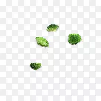 有机体树-花椰菜-空若网 有机体树-花椰菜-空若网