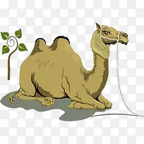 �����ز�-������