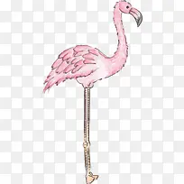 动物-空若网 动物-空若网