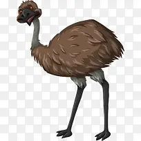 一只鸵鸟-空若网 一只鸵鸟-空若网