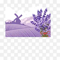 ��ɫ޹�²�-������