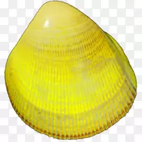 ���ۣ�ĵ�ã��ݱ�-������