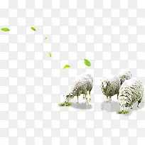 吃草的羊-空若网 吃草的羊-空若网