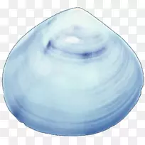 ������������-������