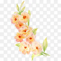 �ֻ滨�ܻ�ɴ��Ӱ����-������