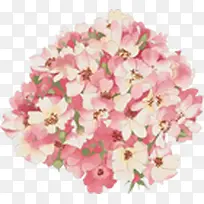 粉色花球婚纱摄影海报-空若网 粉色花球婚纱摄影海报-空若网