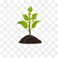 ҡǮС²Ý-¿ÕÈôÍø ҡǮС²Ý-¿ÕÈôÍø