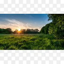 绿树日出夏日微风-空若网 绿树日出夏日微风-空若网