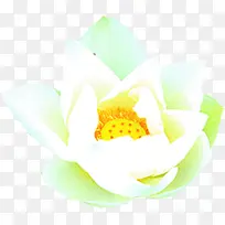 白色多层水彩花朵-空若网 白色多层水彩花朵-空若网