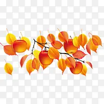 落叶凋零-空若网 落叶凋零-空若网