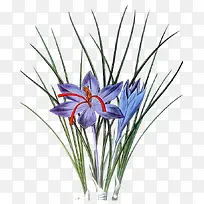 �ֻ�����-������