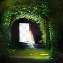 �����̲�-������