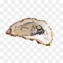 生蚝海鲜-空若网 生蚝海鲜-空若网