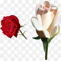 õ�廨pngʸ���ز�-������