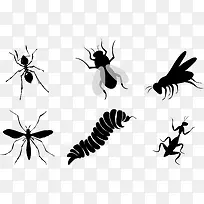 昆虫剪影-空若网 昆虫剪影-空若网