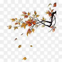 ��֦��Ҷ-������