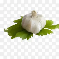 大蒜-空若网 大蒜-空若网