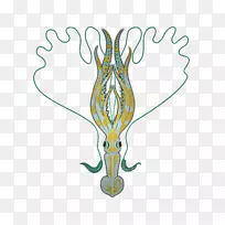 鱿鱼作为食物剪辑艺术-鱿鱼-空若网 鱿鱼作为食物剪辑艺术-鱿鱼-空若网