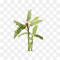 �Ž���-������