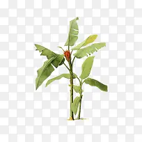 �Ž���-������