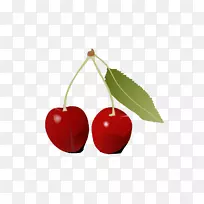 ӣ��ʳƷˮ��������-ӣ��ˮ��-������