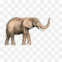 ���ű��ӵĿ��ĵķ�����-������