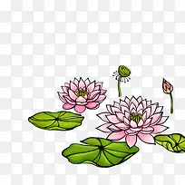 ��Ҷ�ɻ�-������