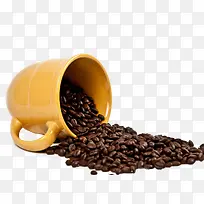 ȸ�����ȶ���Ӱ-������