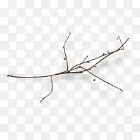 含苞待放的树枝-空若网 含苞待放的树枝-空若网