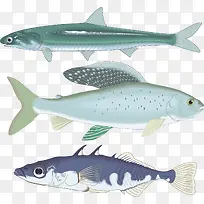 �����ɫʸ��С������ز�-������